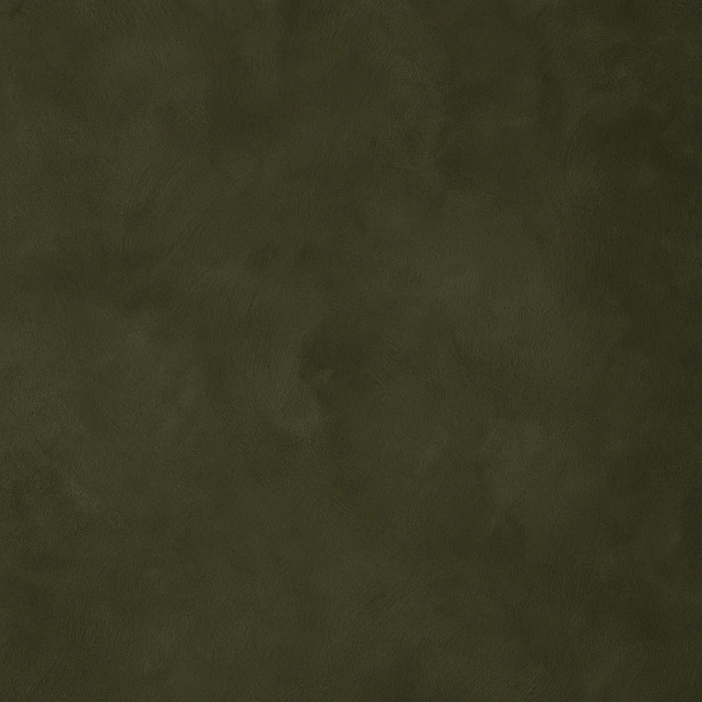 Olive - Image 3